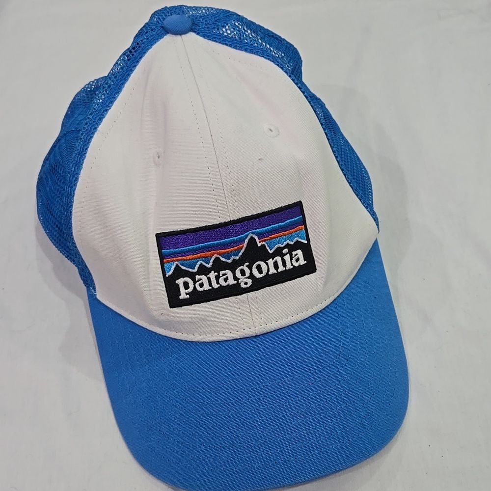 Patagonia Blue And White trucker hat